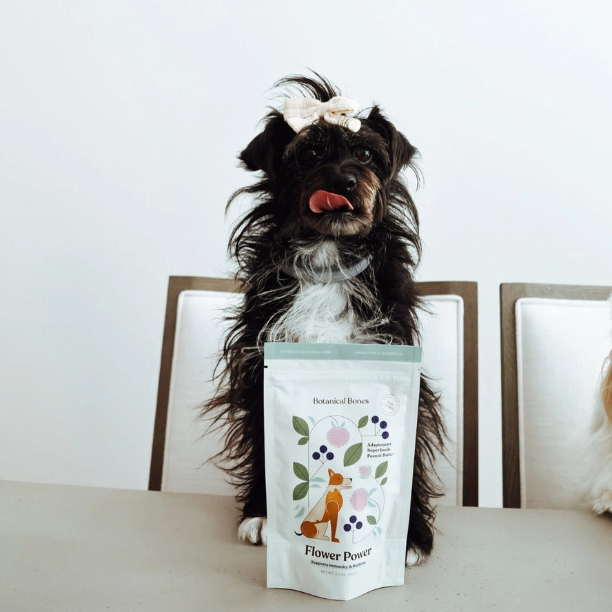 Botanical Bones Flower Power Immunity & Wellness Dog Treats – 4 oz.