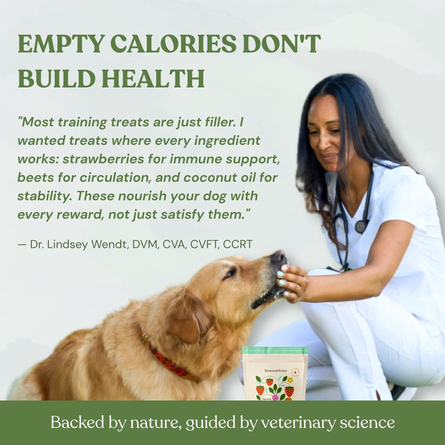 Botanical Bones Love Bites Peanut Butter, Strawberry & Beet Dog Treats – 5 oz.