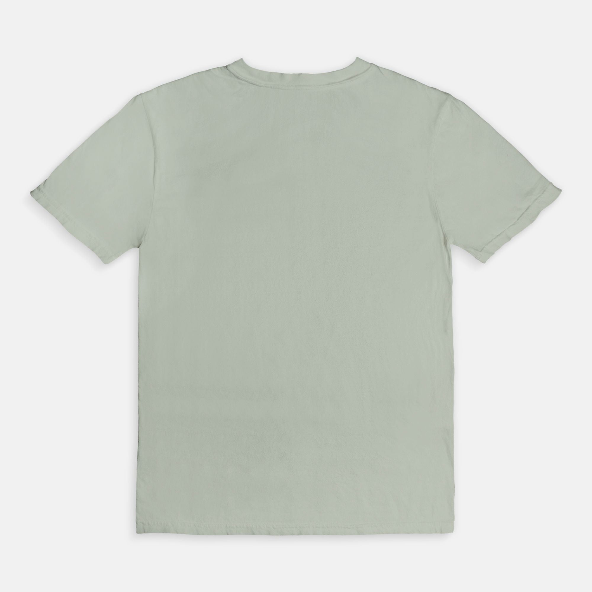 Is Your Human a Rescue Too? Comfort Colors® Graphic Tee