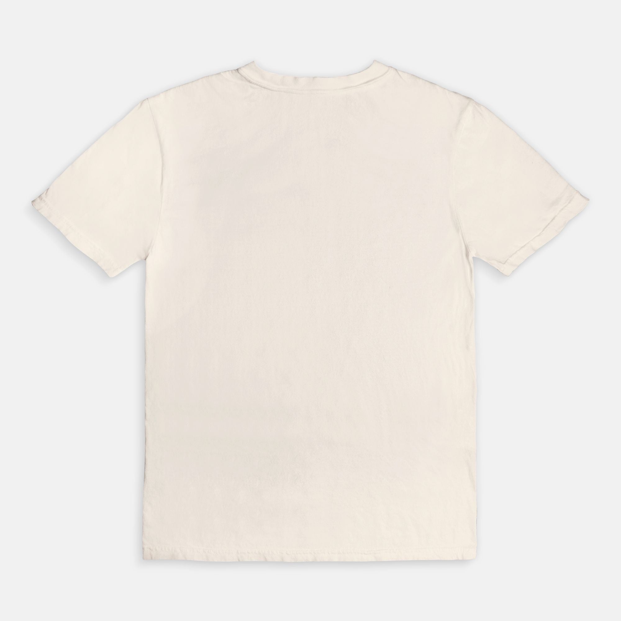 Is Your Human a Rescue Too? Comfort Colors® Graphic Tee