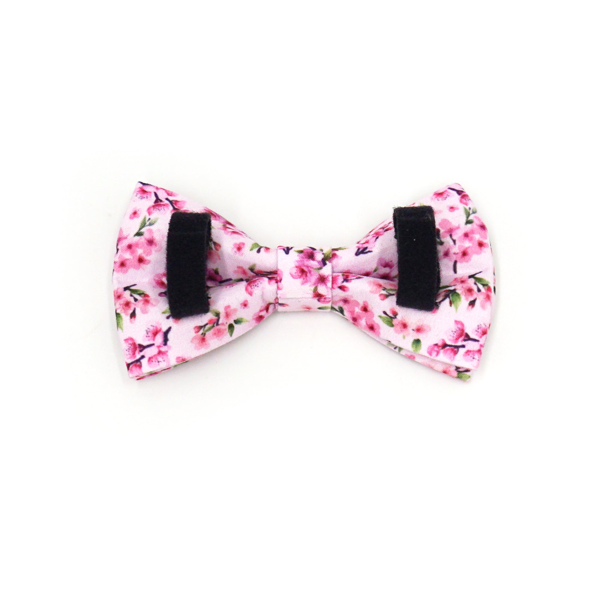 Tiny’s Sakura Stroll Set – Collar, Leash, Harness & Accessories