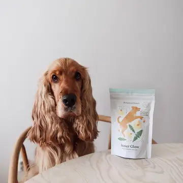 Botanical Bones Inner Glow Healthy Digestion Dog Treats – 4 oz.