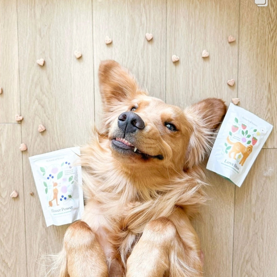 Botanical Bones Love Bites Peanut Butter, Strawberry & Beet Dog Treats – 5 oz.