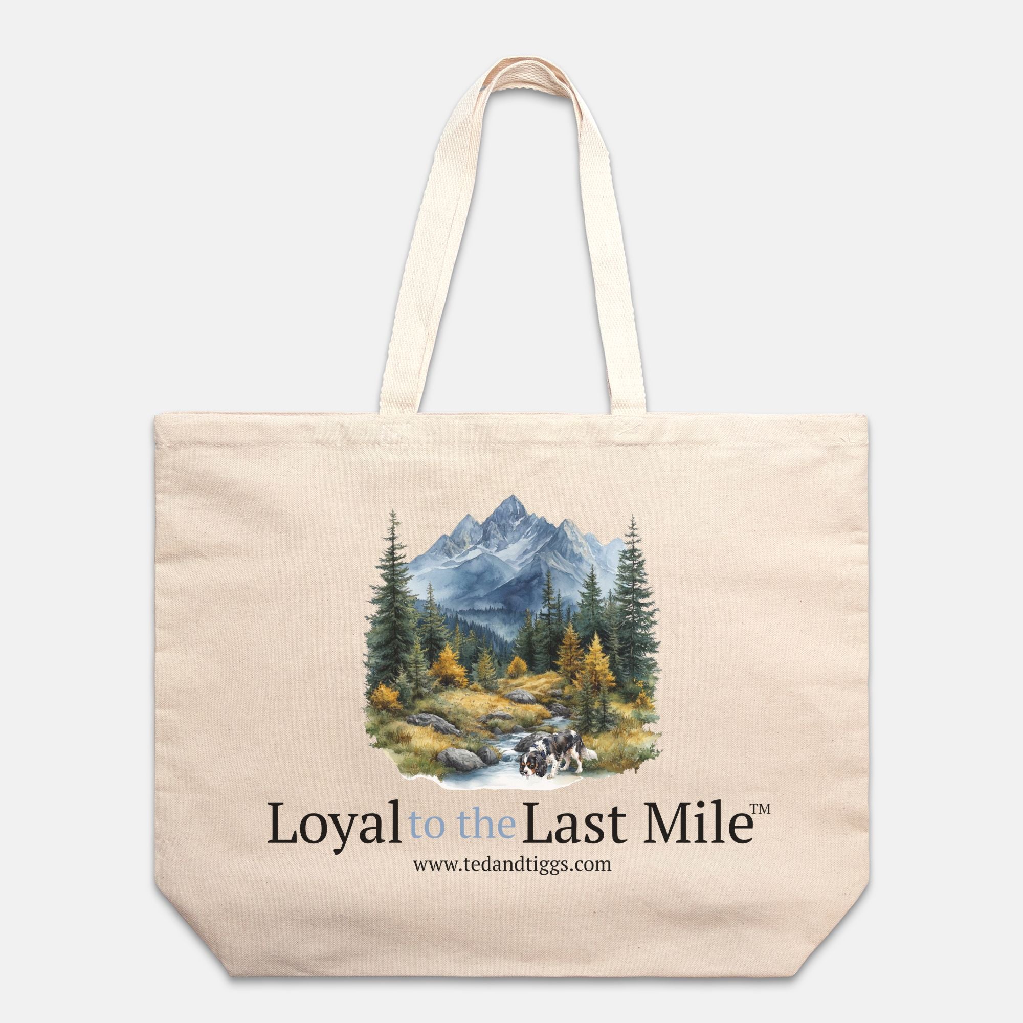Teddy's Loyal to the Last Mile - Adventure