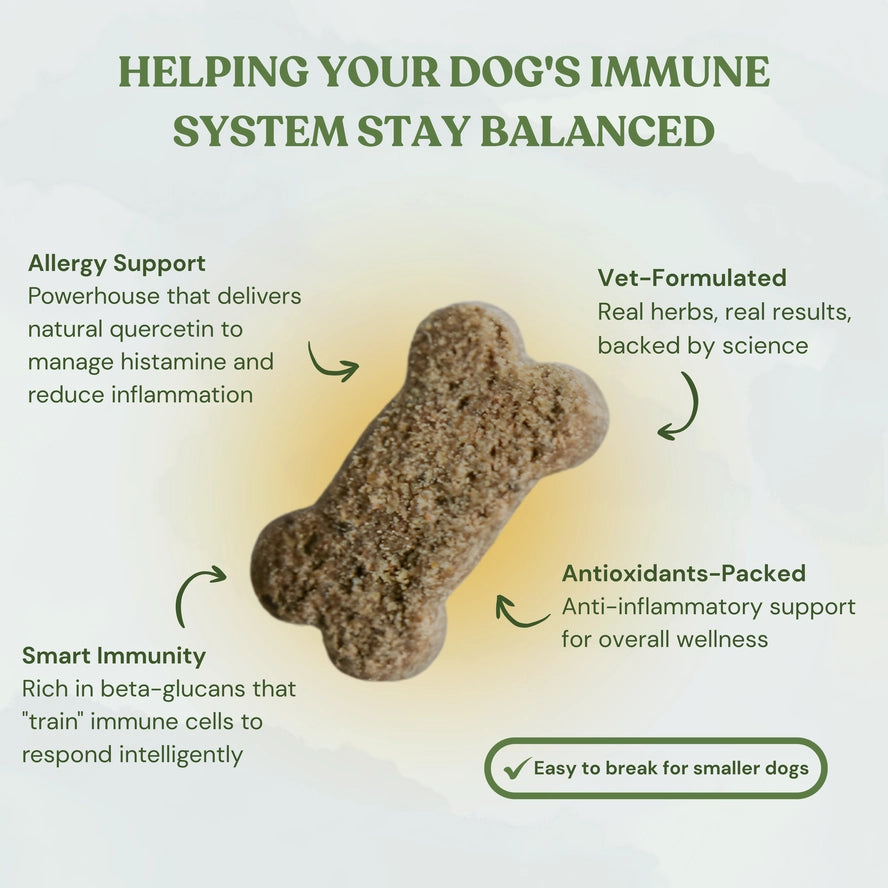 Botanical Bones Flower Power Immunity & Wellness Dog Treats – 4 oz.