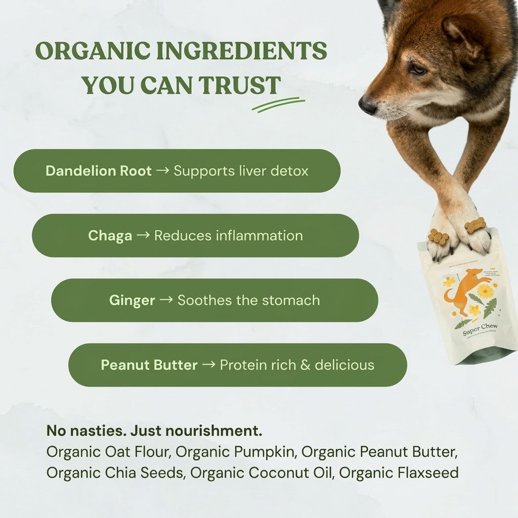 Botanical Bones Inner Glow Healthy Digestion Dog Treats – 4 oz.