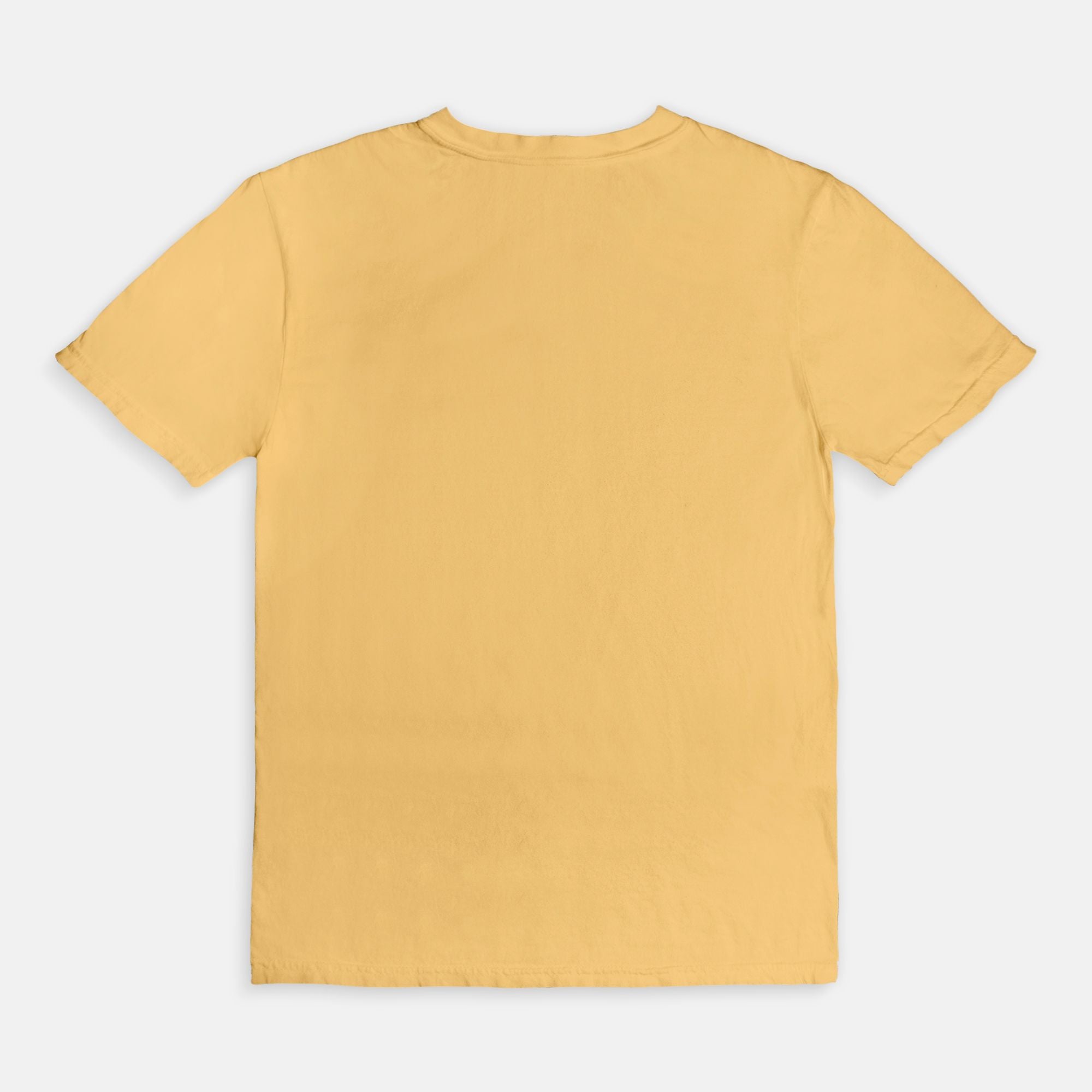 Is Your Human a Rescue Too? Comfort Colors® Graphic Tee