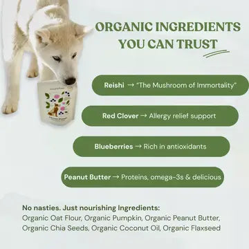 Botanical Bones Flower Power Immunity & Wellness Dog Treats – 4 oz.