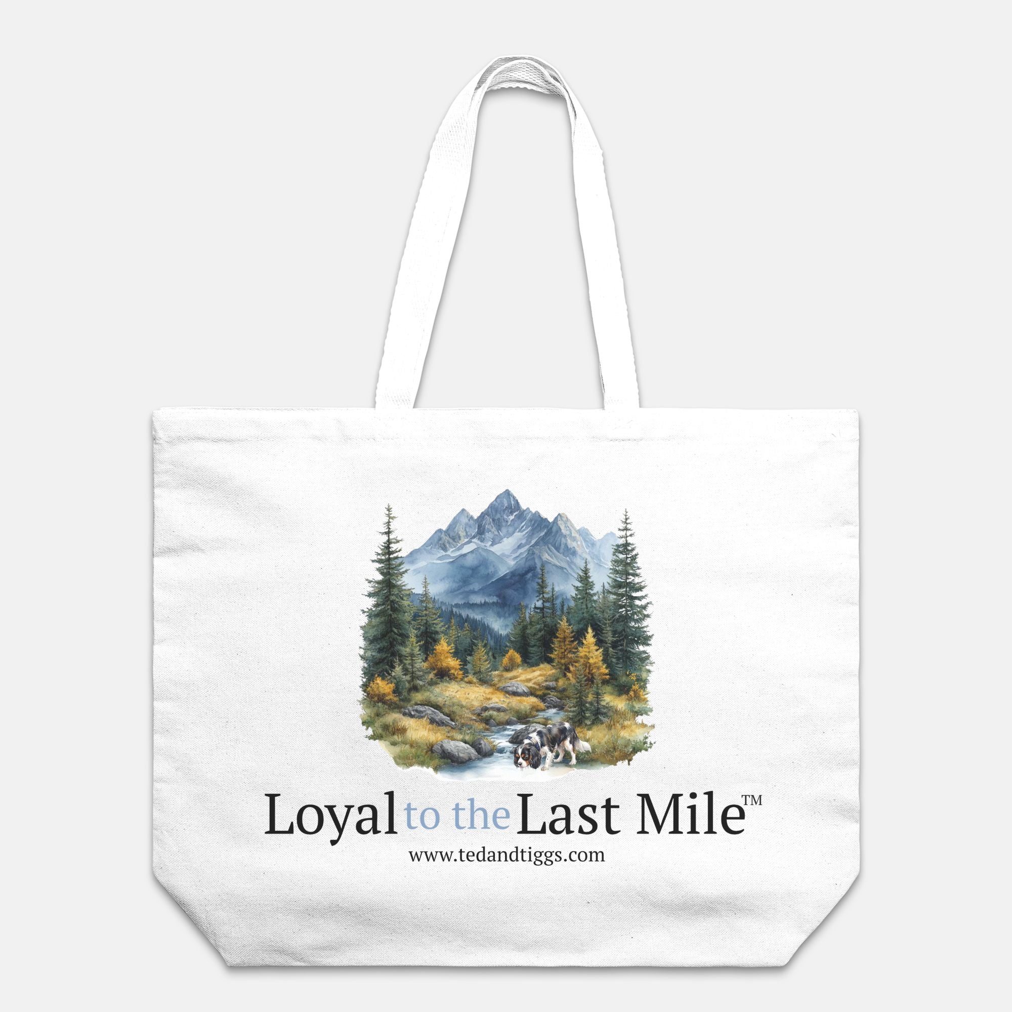 Teddy's Loyal to the Last Mile - Adventure