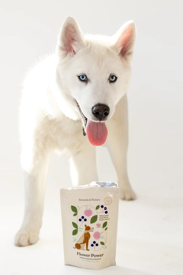 Botanical Bones Flower Power Immunity & Wellness Dog Treats – 4 oz.