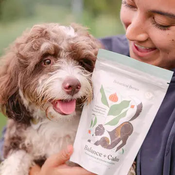 Botanical Bones Balance + Calm Peanut Butter Calming Dog Treats – 4 oz.