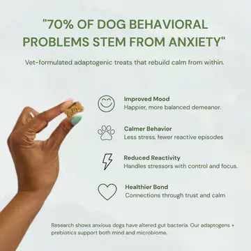 Botanical Bones Balance + Calm Peanut Butter Calming Dog Treats – 4 oz.