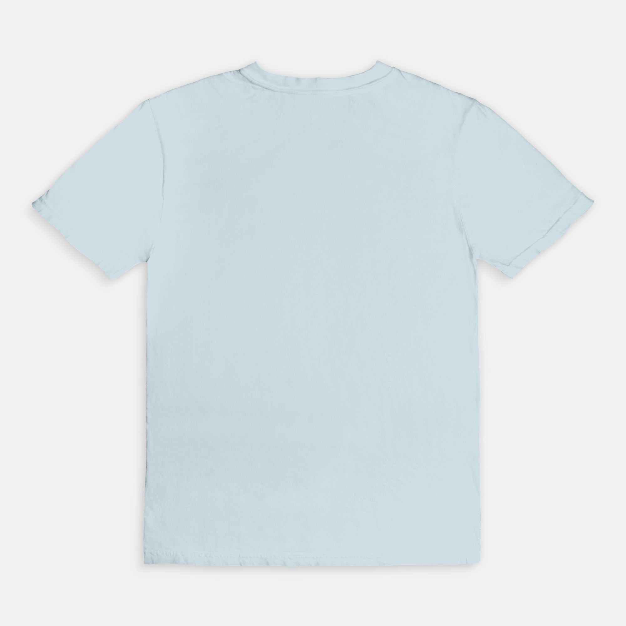 Is Your Human a Rescue Too? Comfort Colors® Graphic Tee