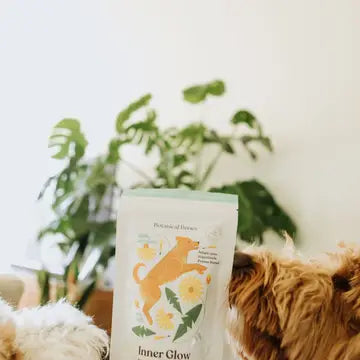 Botanical Bones Inner Glow Healthy Digestion Dog Treats – 4 oz.