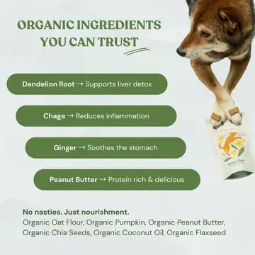 Botanical Bones Inner Glow Healthy Digestion Dog Treats – 4 oz.