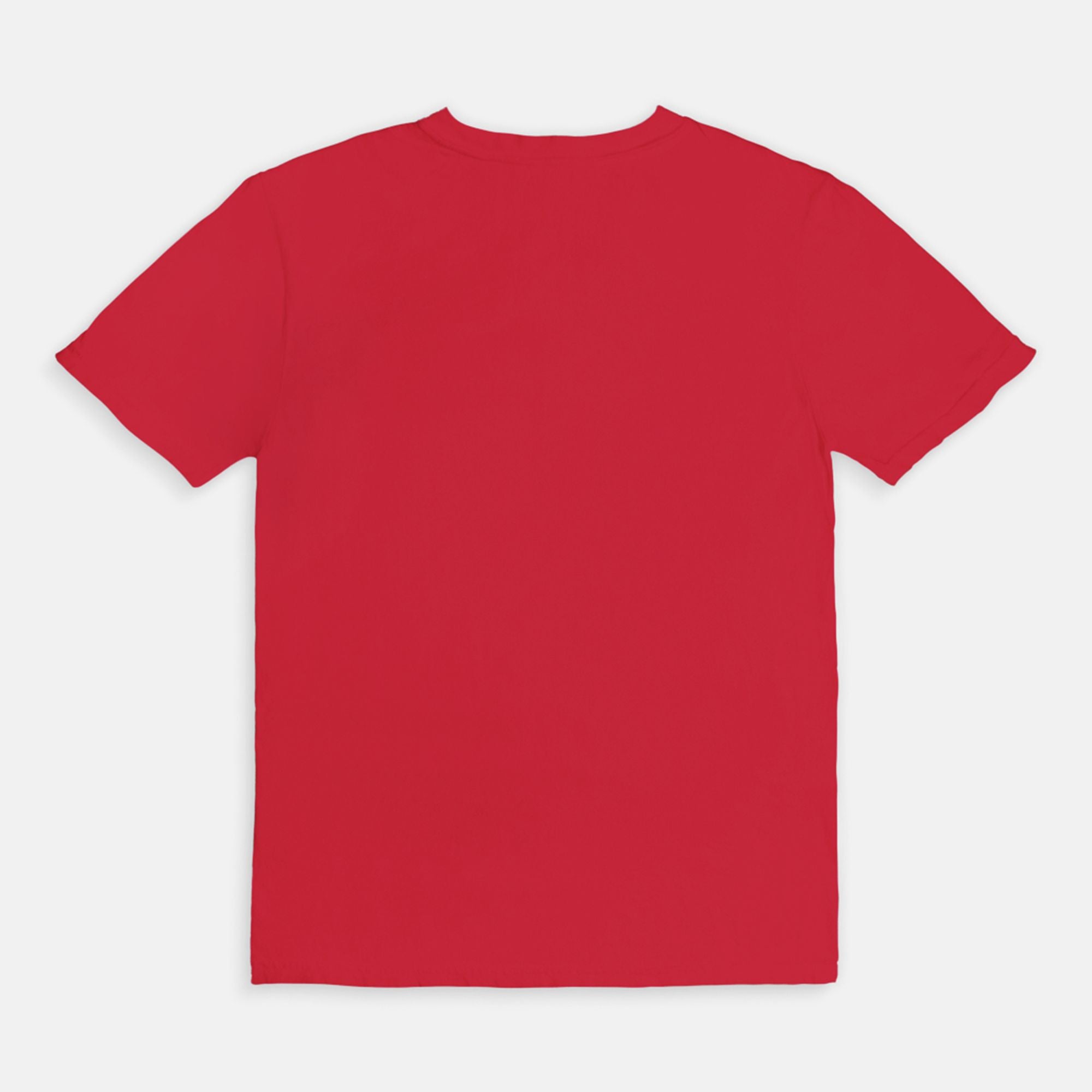 Santa Paws Balloon Dog Comfort Colors Christmas Tee